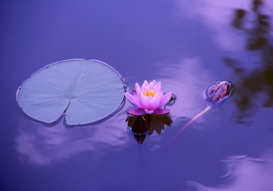 Direct Cremation in Greenfield WI