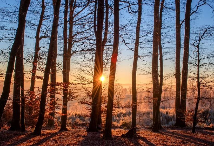 direct cremation in Milwaukee, WI