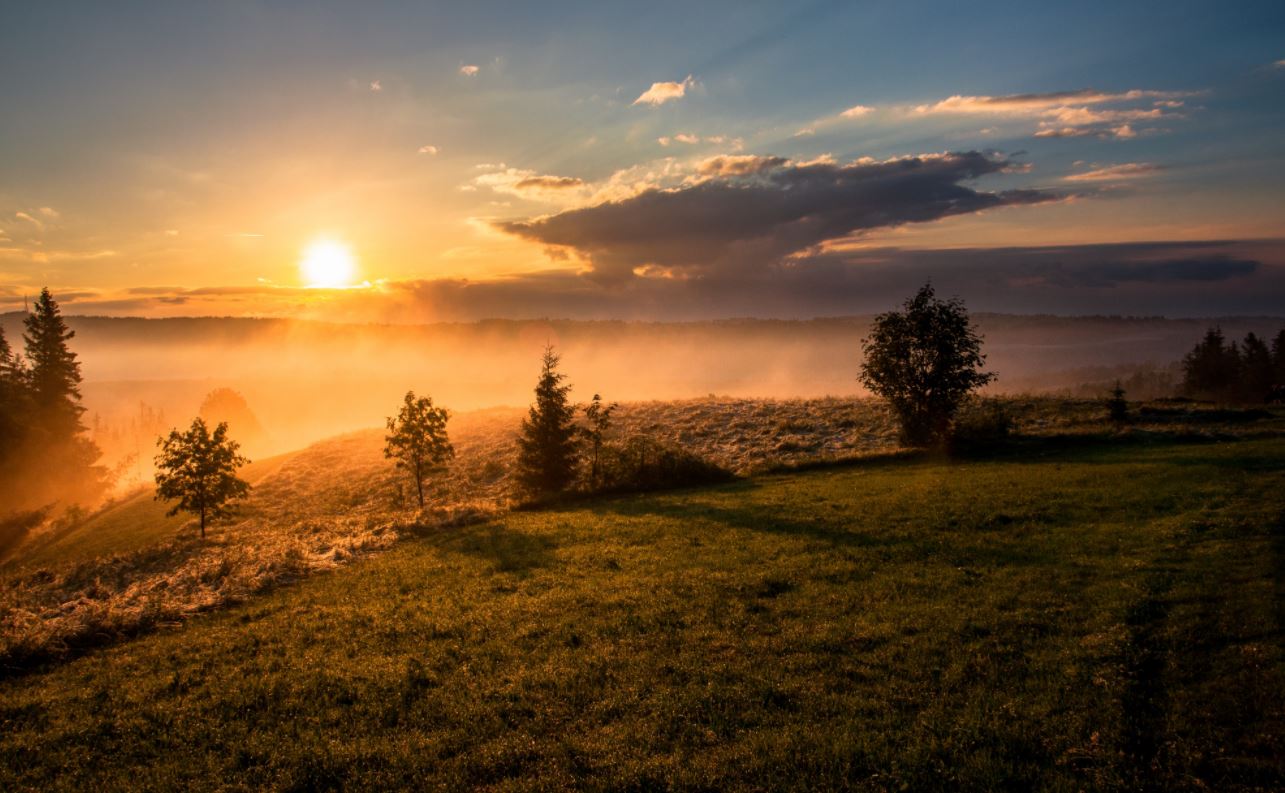 direct cremation in Shorewood, WI