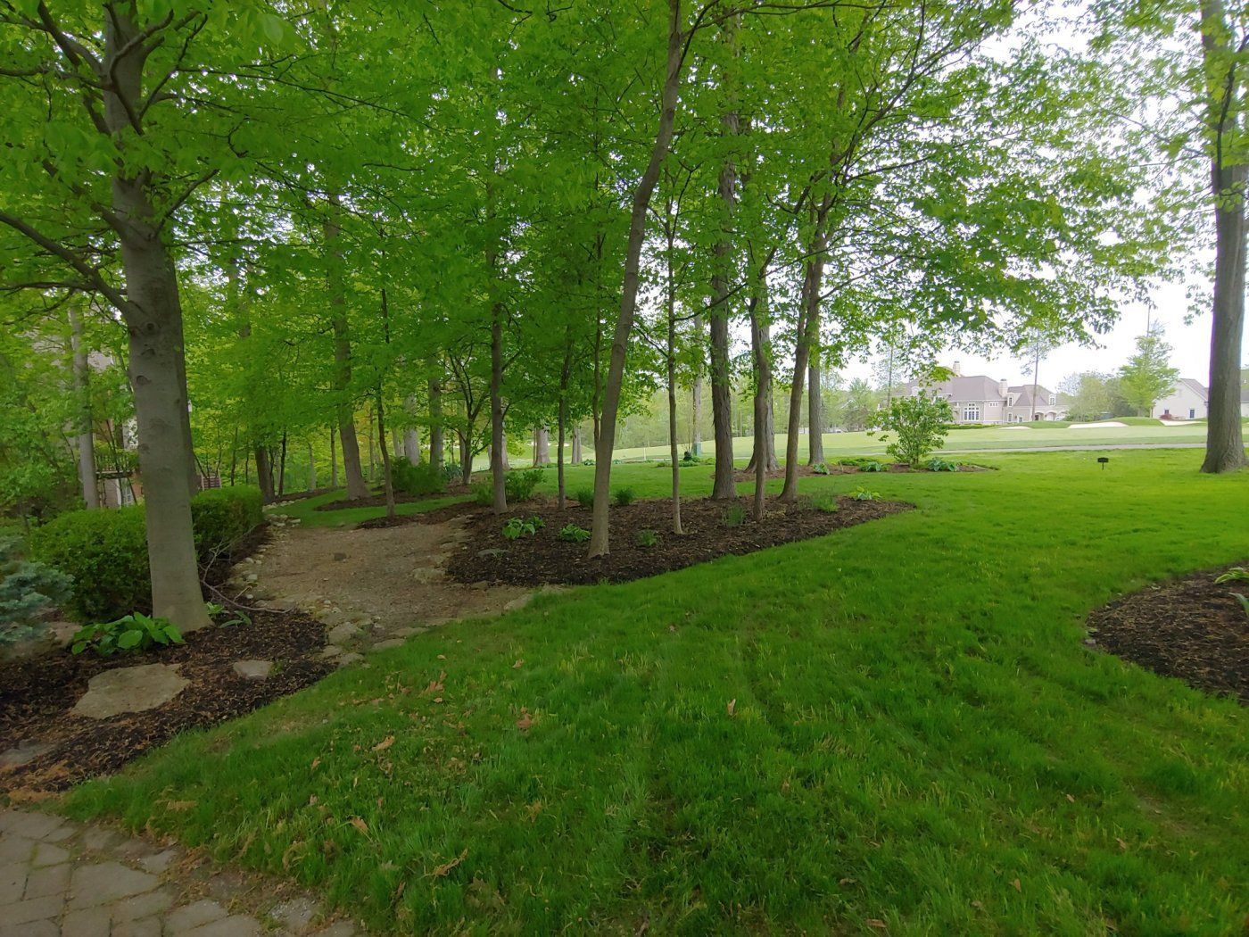 Green Trees and Large Lawn - Columbus, OH - Christal Clean Landscapes