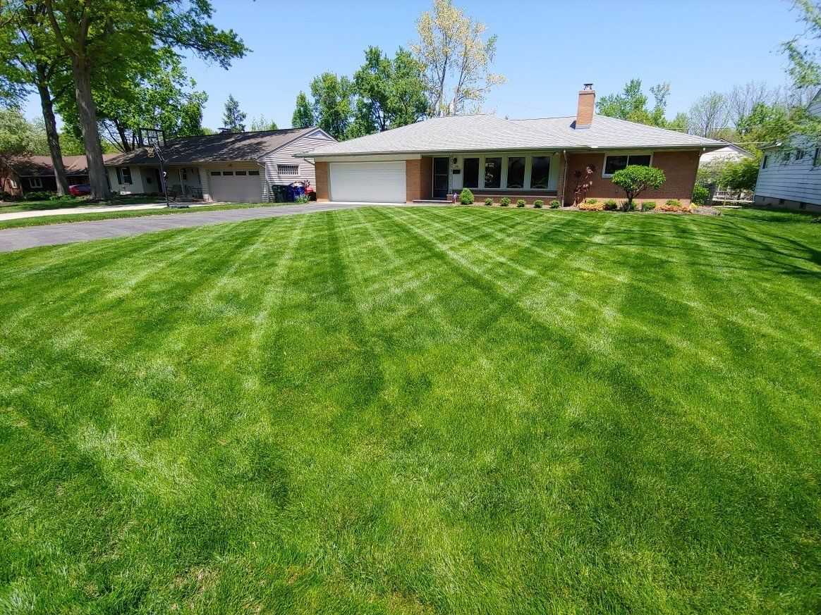 Mowed Lawn - Columbus, OH - Christal Clean Landscapes