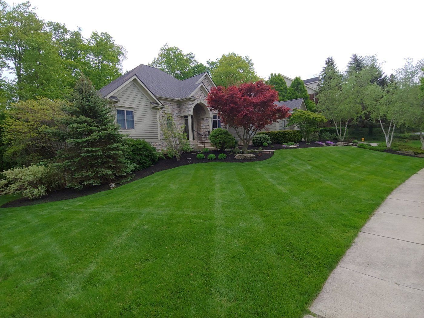 Backyard Lawn - Columbus, OH - Christal Clean Landscapes