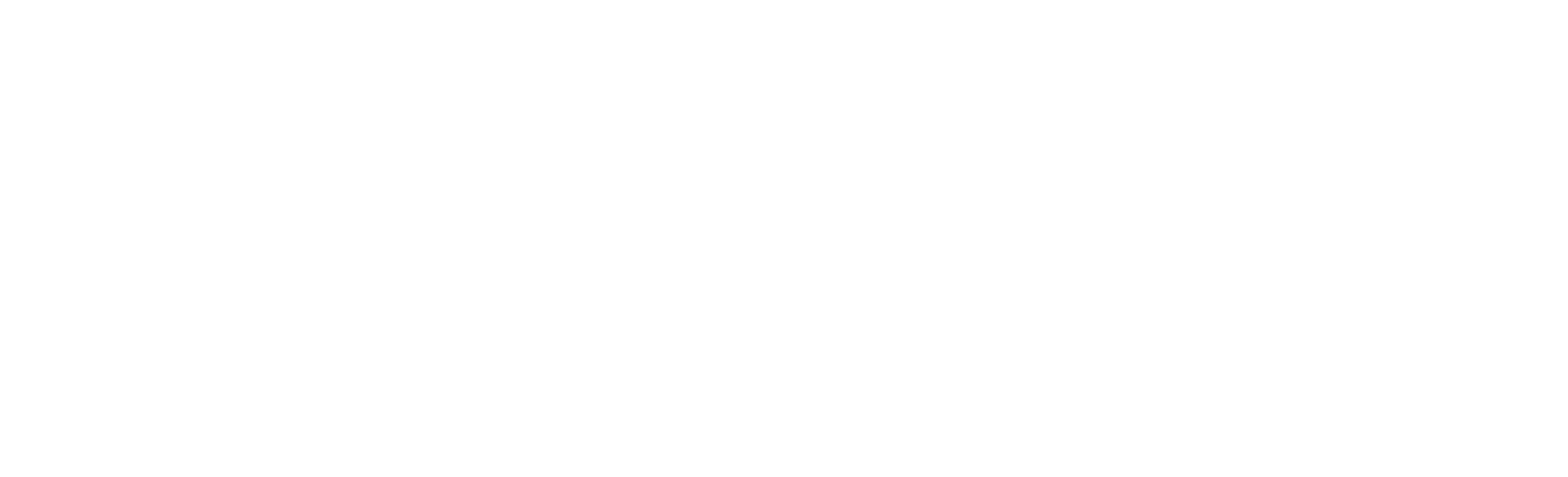 TEMPESTA TRASLOCHI - LOGO