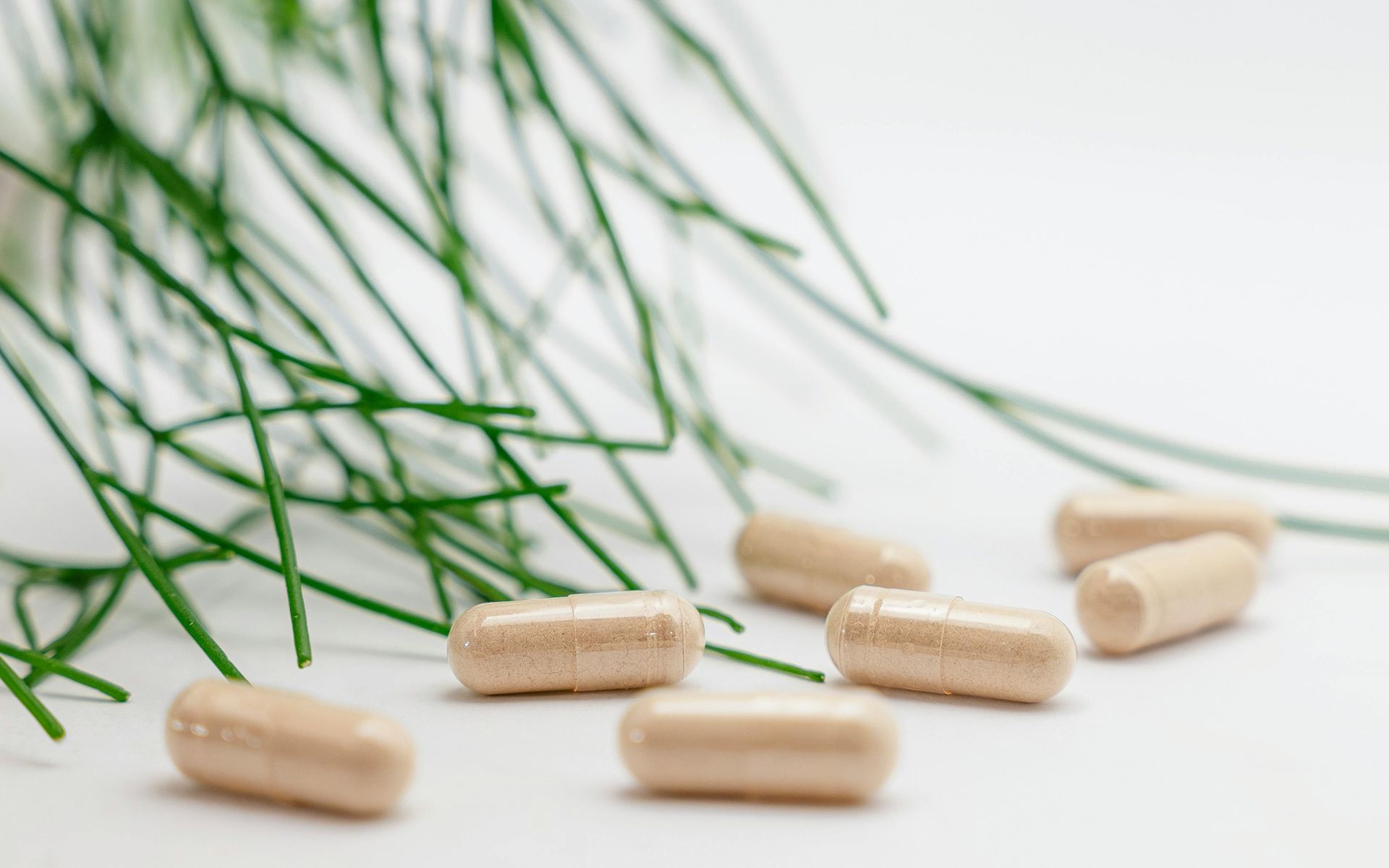A bunch of pills are laying on a table next to a plant.