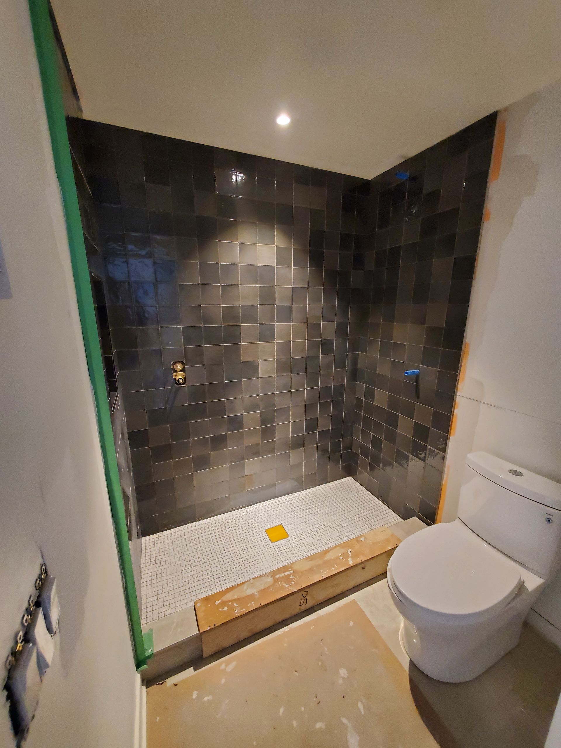 Une salle de bain avec WC et douche à l'italienne.