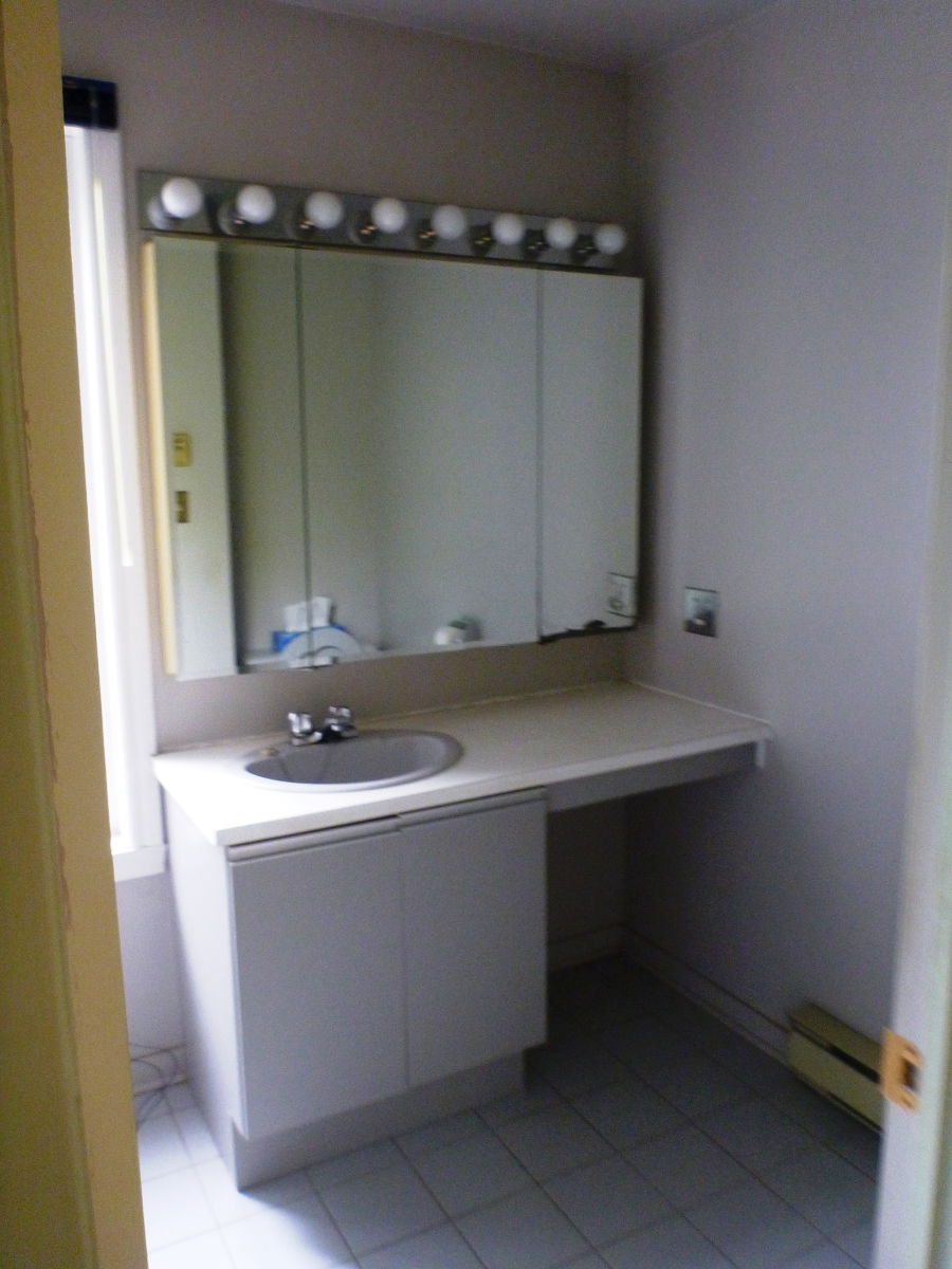 Une salle de bain avec lavabo et miroir