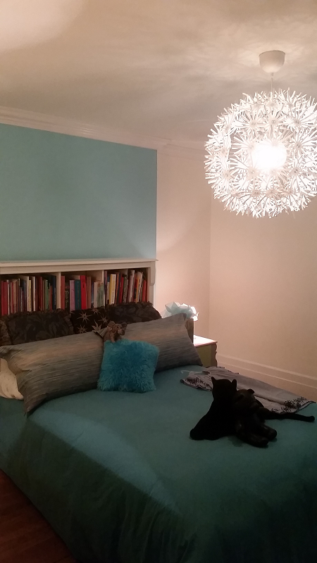 Deux chats sont allongés sur un lit dans une chambre.