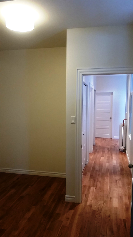 Un couloir vide avec parquet et murs blancs