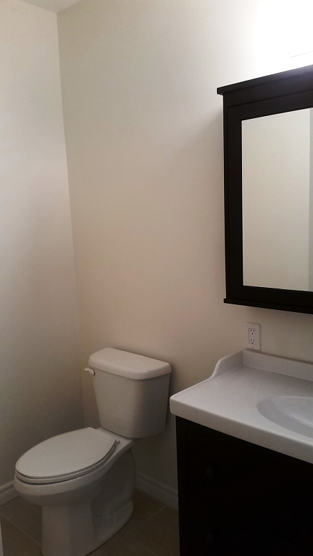 Une salle de bain avec WC , lavabo et miroir.