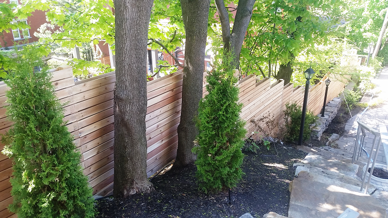 Une clôture en bois est entourée d'arbres dans une cour.