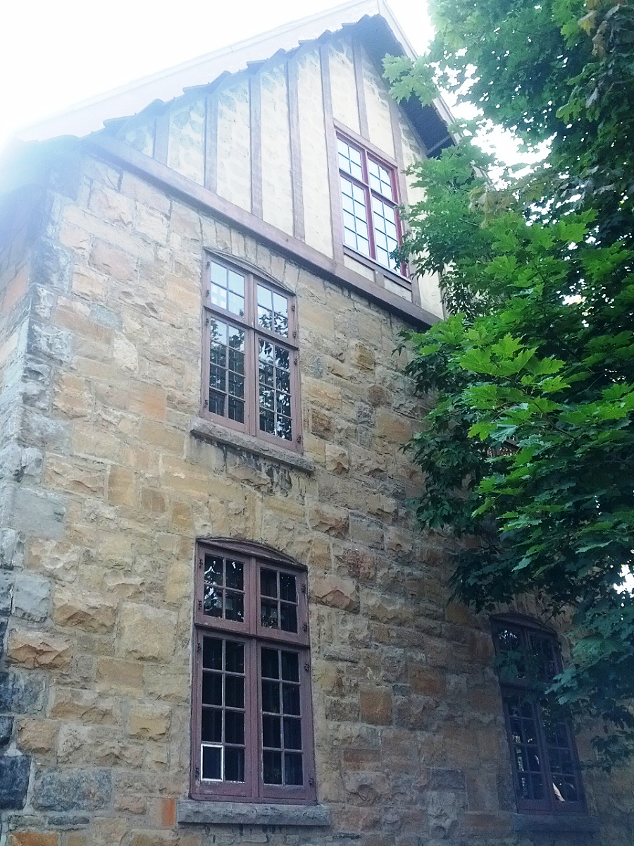 Un grand bâtiment en pierre avec un arbre devant
