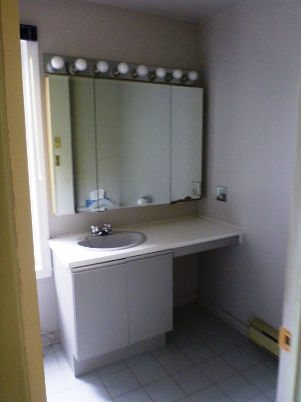 Une salle de bain avec un lavabo et un miroir au dessus