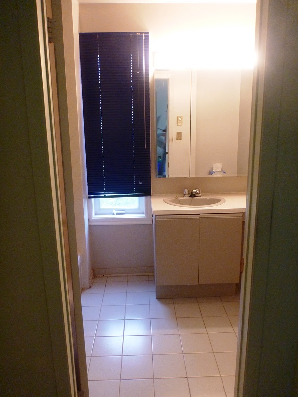 Une salle de bain avec un lavabo un miroir et une fenêtre