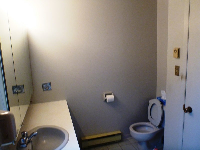 Une salle de bain avec WC, lavabo et miroir