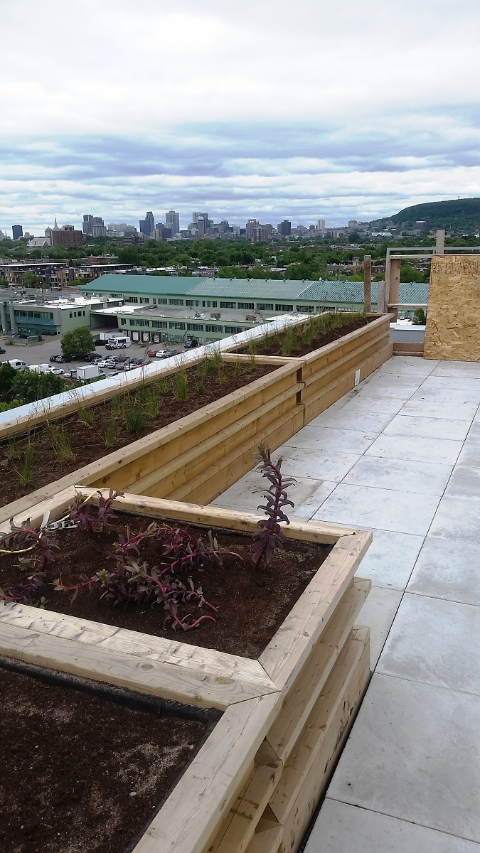 Un jardin sur le toit avec des jardinières en bois et une vue sur la ville.