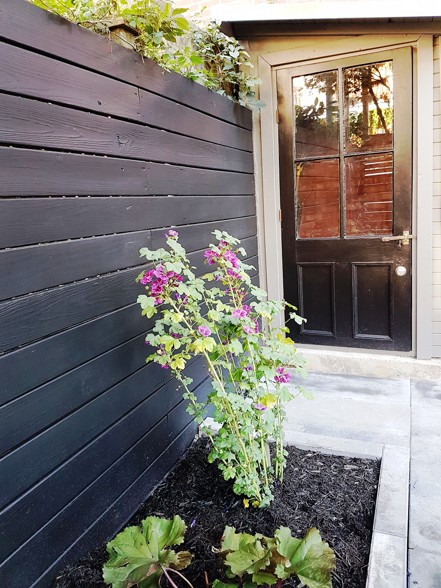 Une clôture noire avec des fleurs violettes devant une porte noire