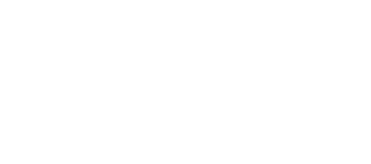 The District at Manhattan Logo