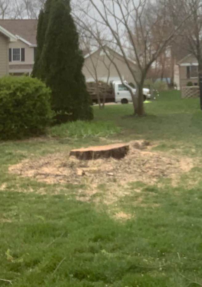 Tree Stump in Residential Area — Warrenton, MO — L & R Tree Removal and Landscaping LLC