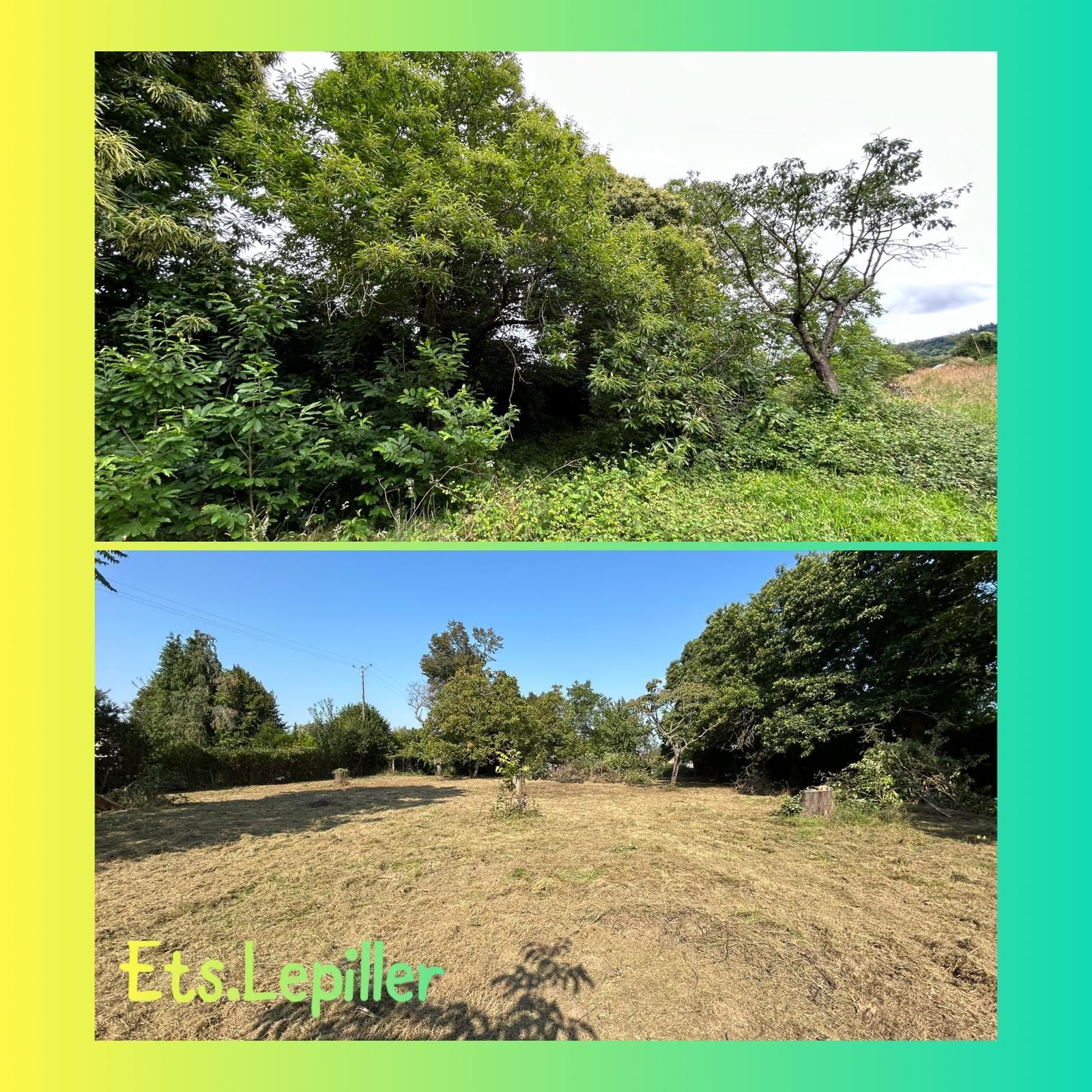 Une photo en écran partagé montrant l'avant et l'après du défrichement d'un terrain, révélant un champ herbeux