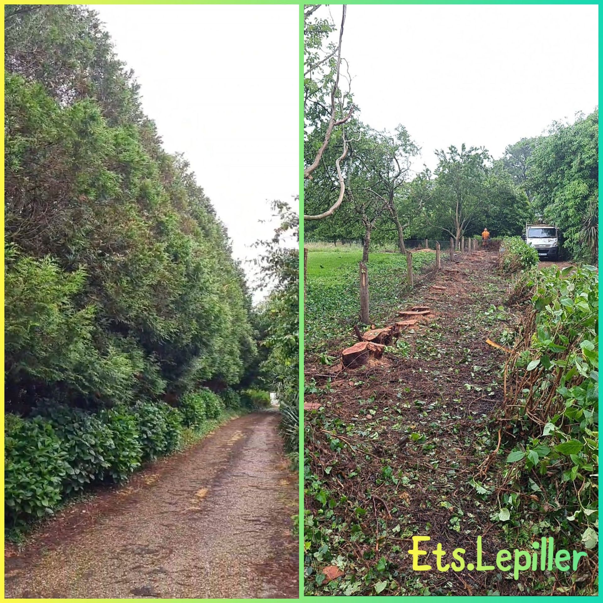 Une comparaison avant-après montrant une rangée dense d'arbres le long d'un chemin et la même zone défrichée par Ets.Lepiller