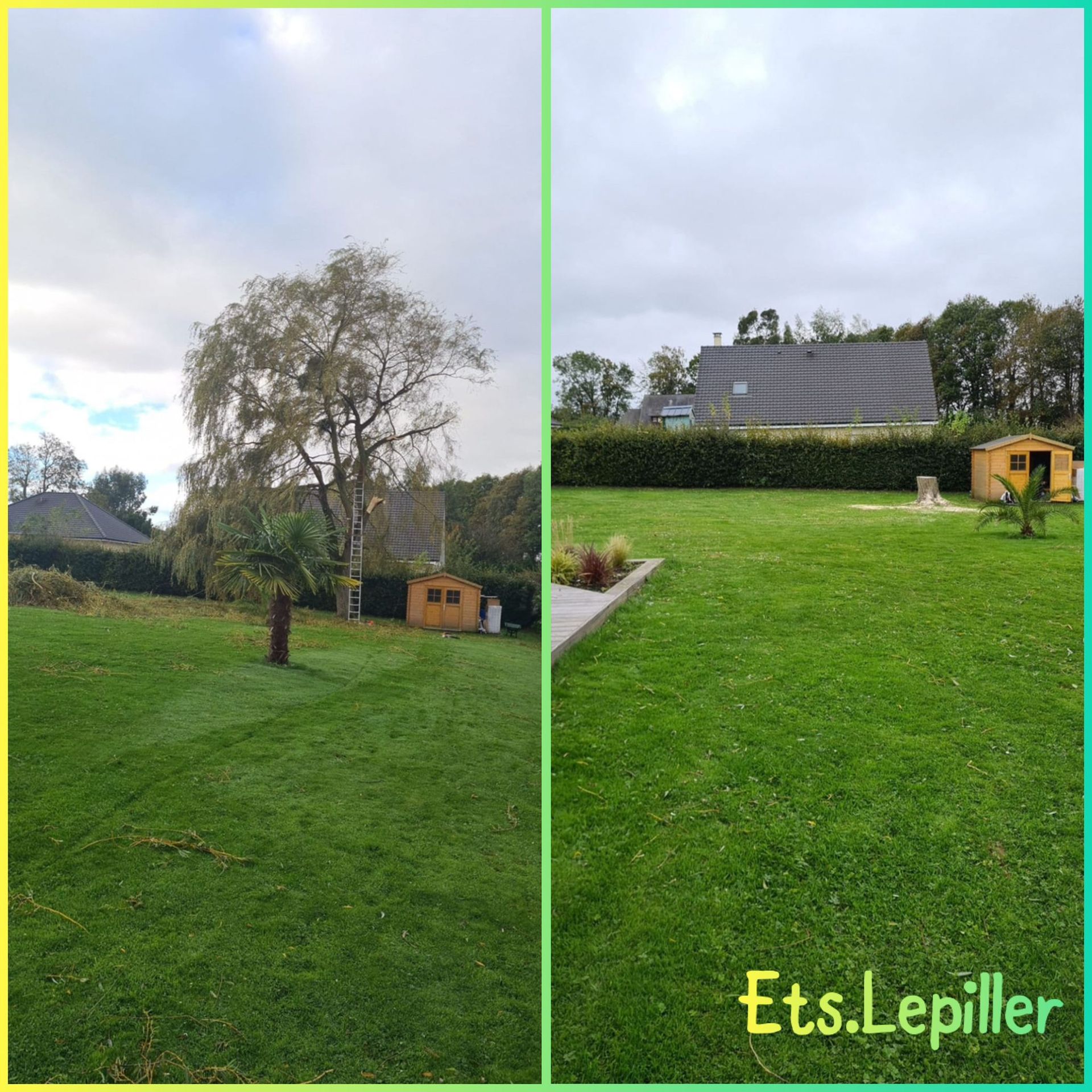 Comparaison avant-après d'un jardin, montrant un grand arbre enlevé de la pelouse, avec la mention « Ets.Lepiller » 