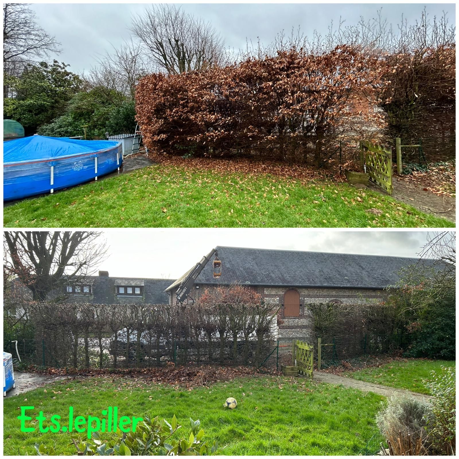 Comparaison avant et après d'une haie de jardin montrant une haie haute, brune et négligée taillée en une forme verte