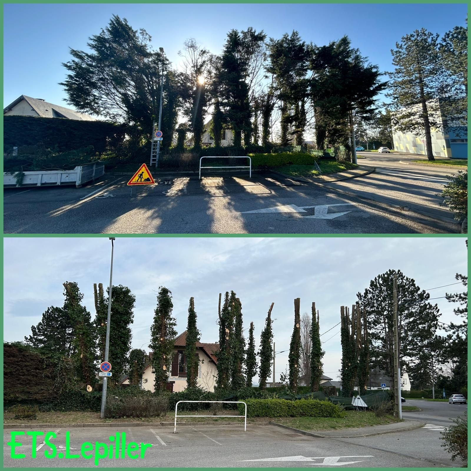 Comparaison avant et après un projet d'élagage d'arbres, montrant une rangée d'arbres avec un feuillage dense