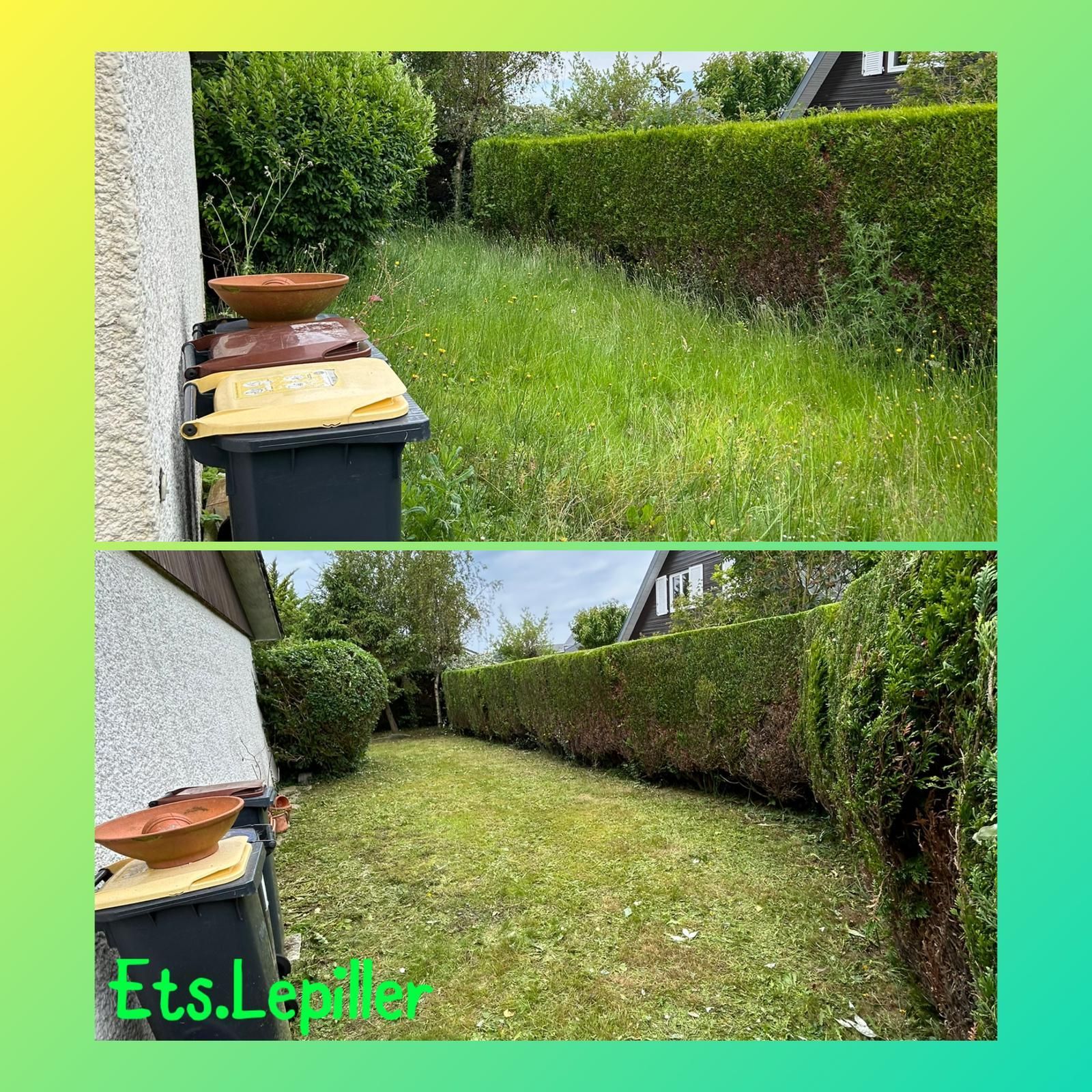Comparaison avant et après la tonte d'un jardin, montrant une pelouse envahie par les herbes hautes et une haie taillée.