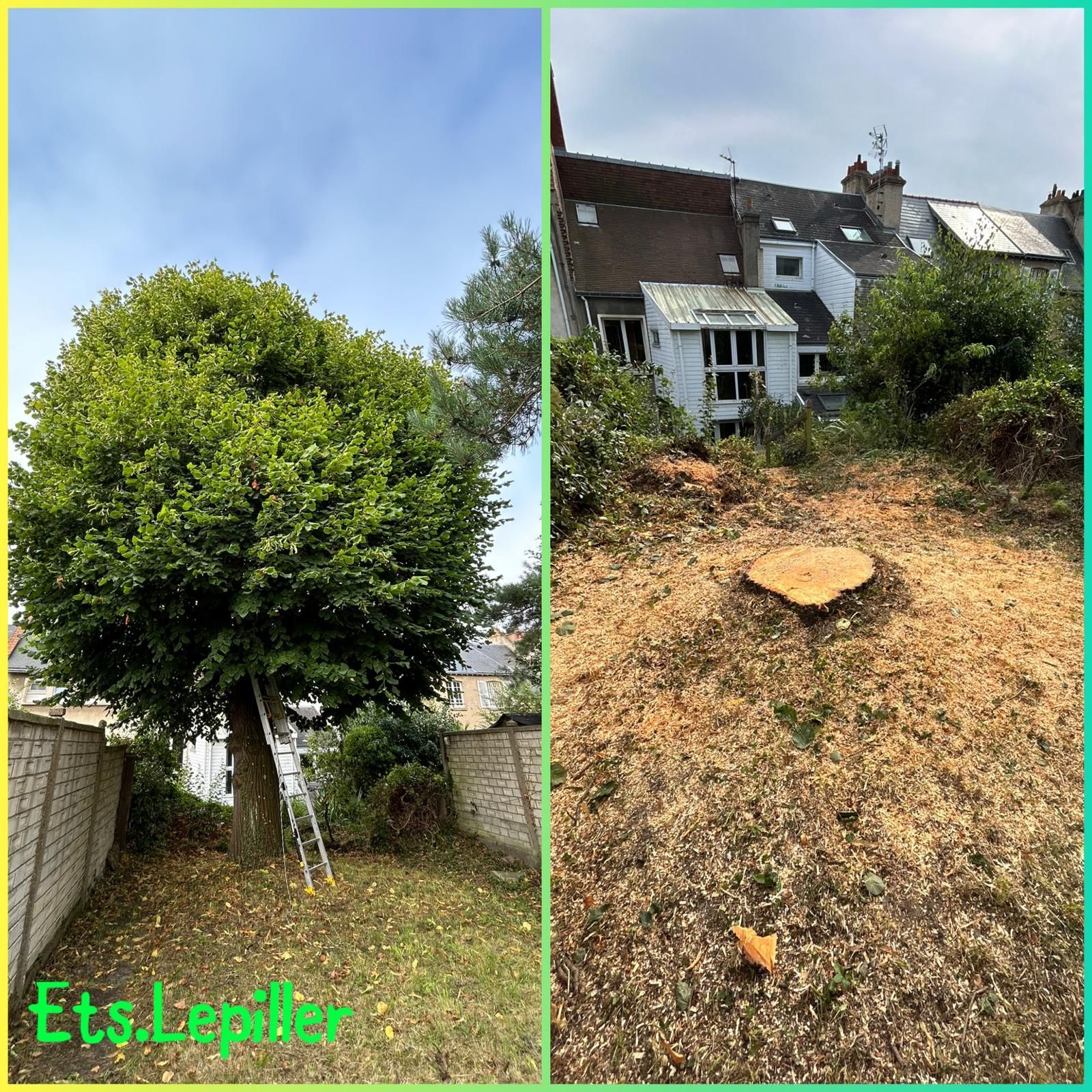 Un écran partagé montrant un arbre avant et après son abattage dans un jardin résidentiel.