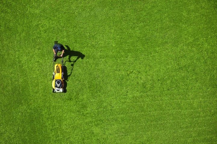 Person mowing a large, bright green lawn with a yellow lawnmower; overhead view.