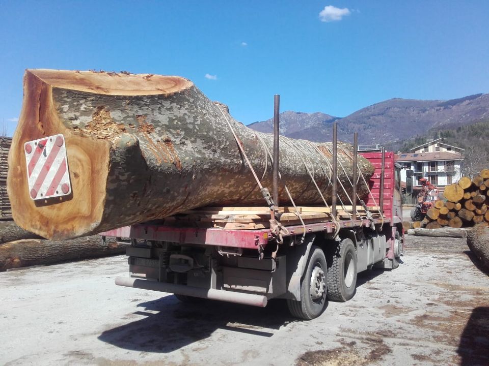 trasporto tronchi per segherie