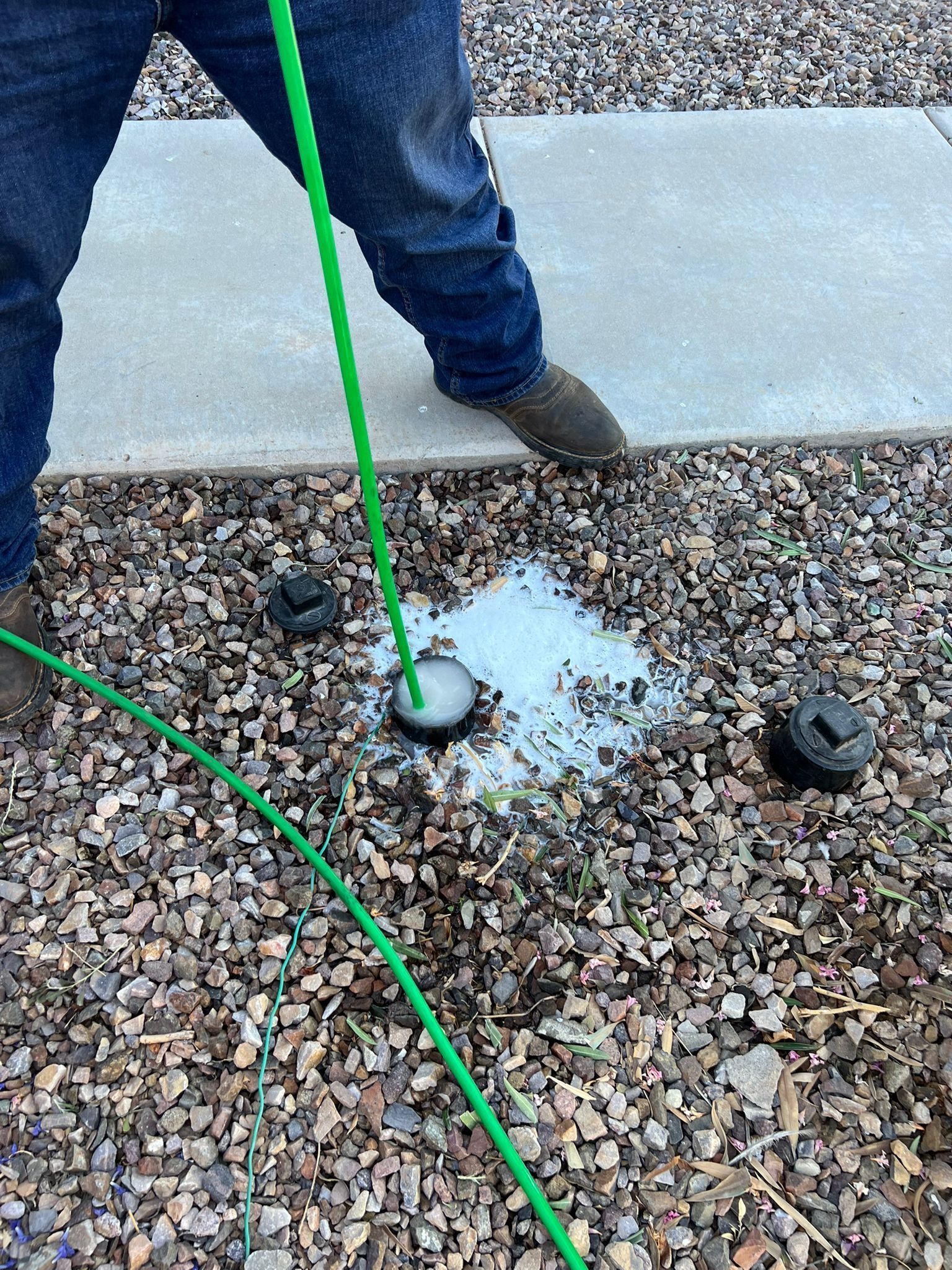 A person is standing next to a green hose on the ground.