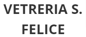 VETRERIA S. FELICE_logo