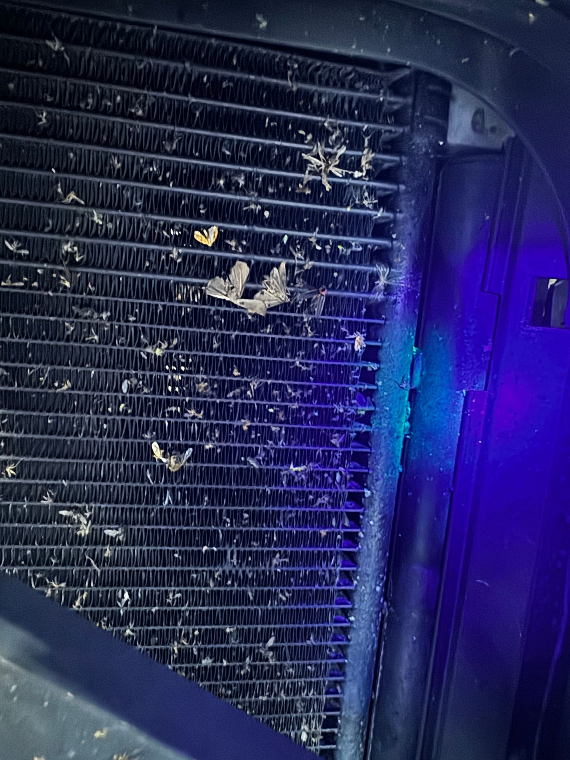 A close up of a dirty radiator under a purple light.