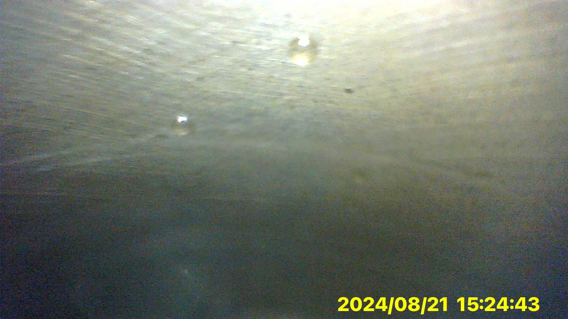 A picture of a body of water with the date 2024/08/21