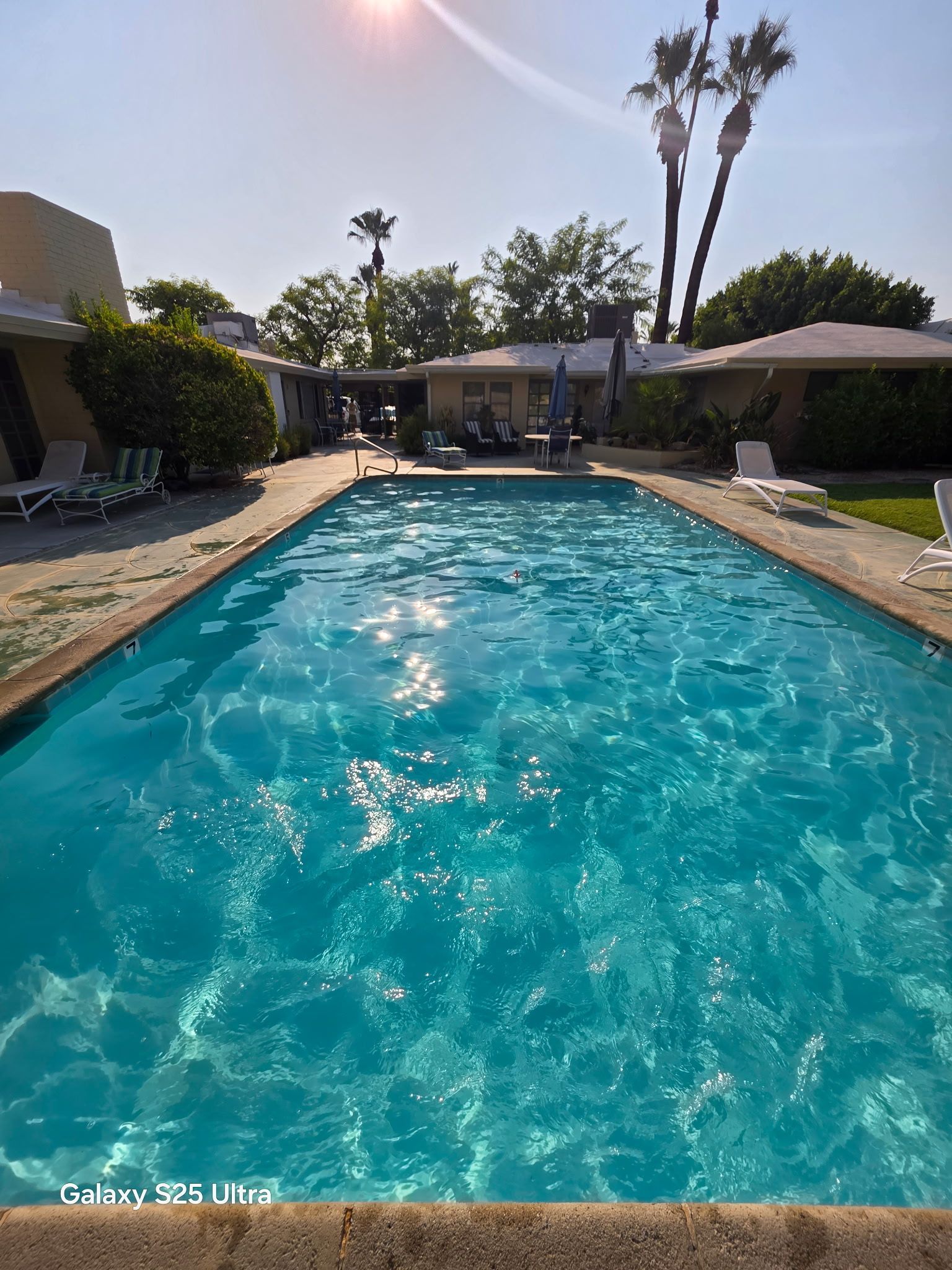 A large swimming pool with palm trees in the background.