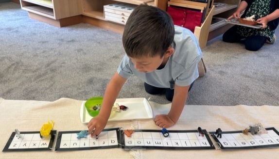 Montessori child working with alphabet strip