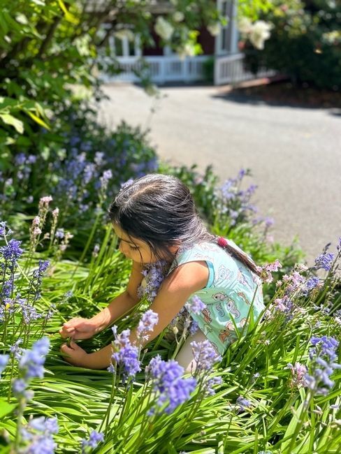 Montessori child picking flowers