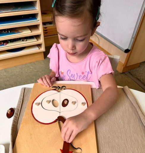Montessori children working with a wooden puzzle 