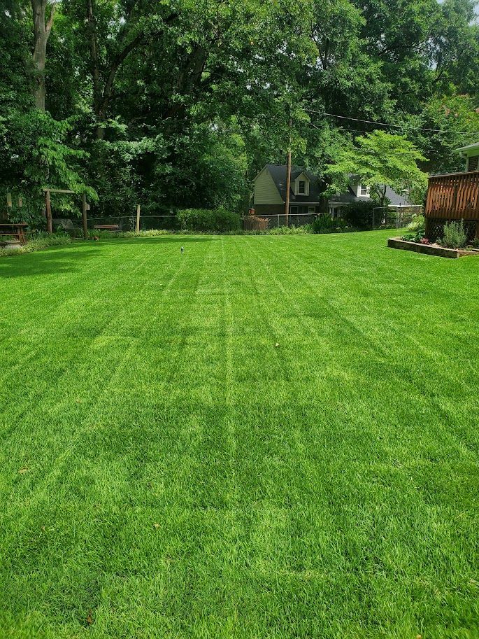 new sod installed, making a lush green lawn with trees in the background and a house in the background .