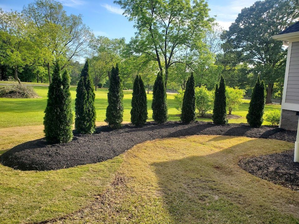 a row of trees with new black mulch installation in a garden next to a house