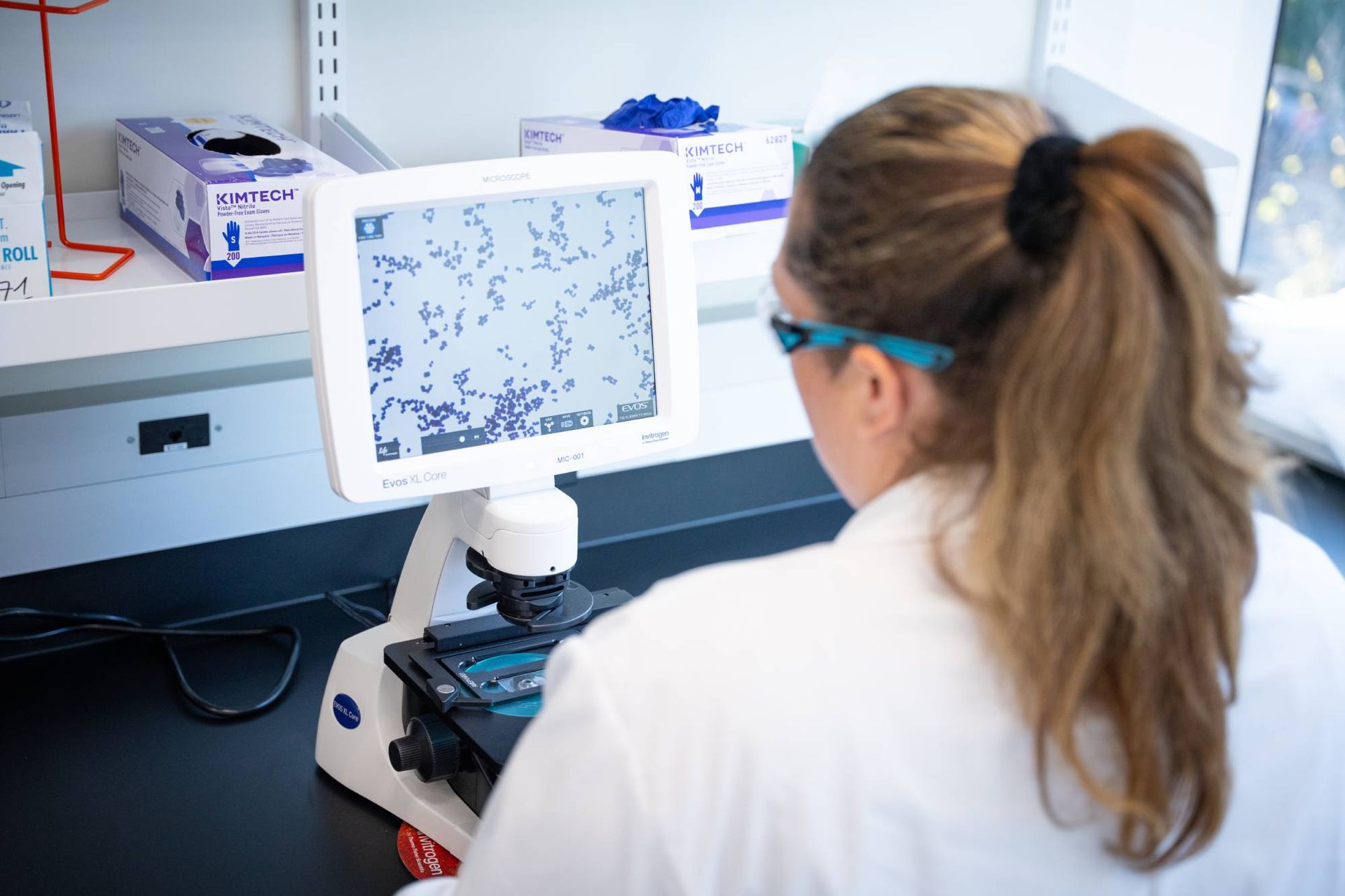 Biodextris Equipment