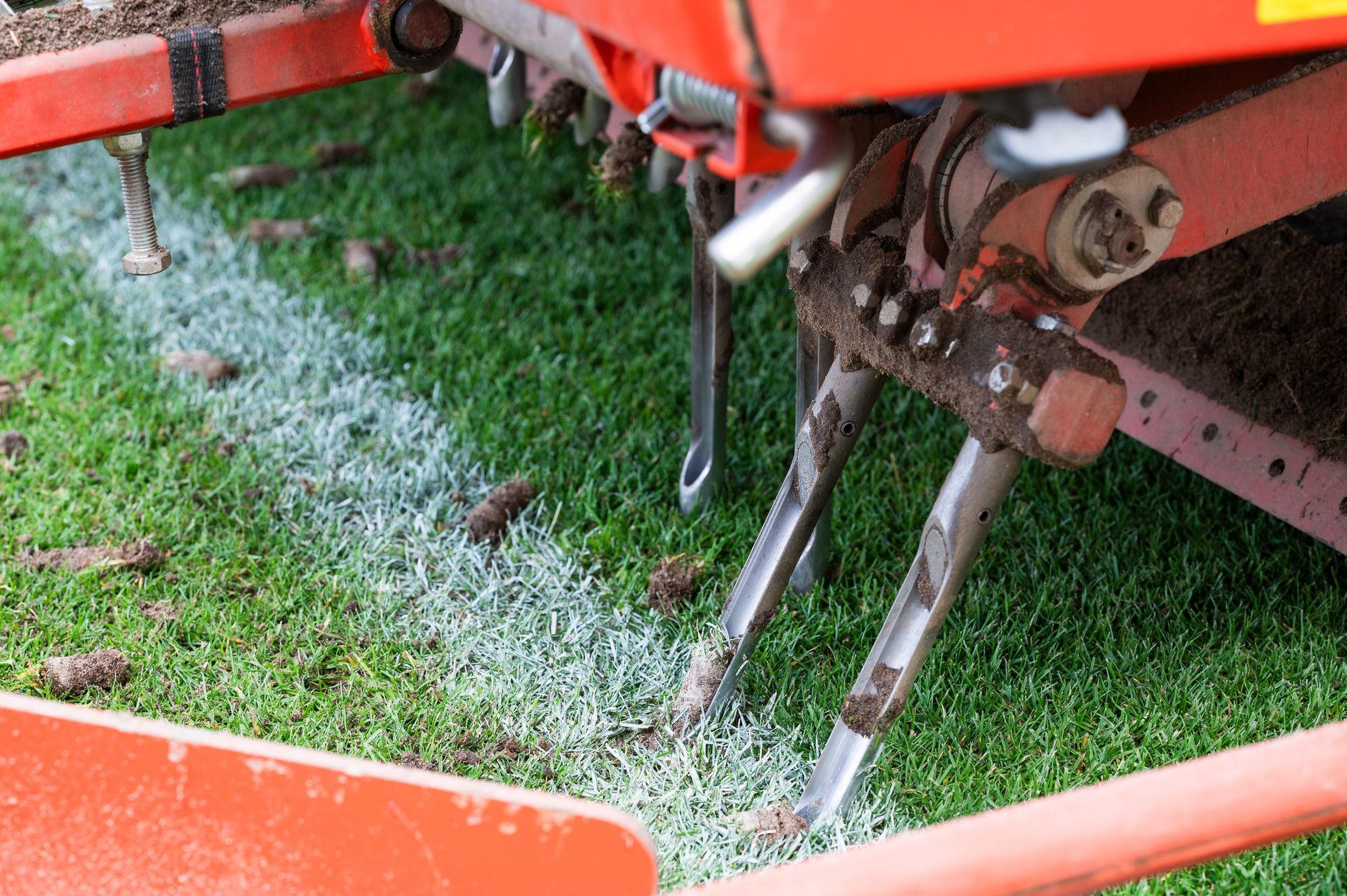 Close-up of a lawn aerator with tines penetrating green grass.
