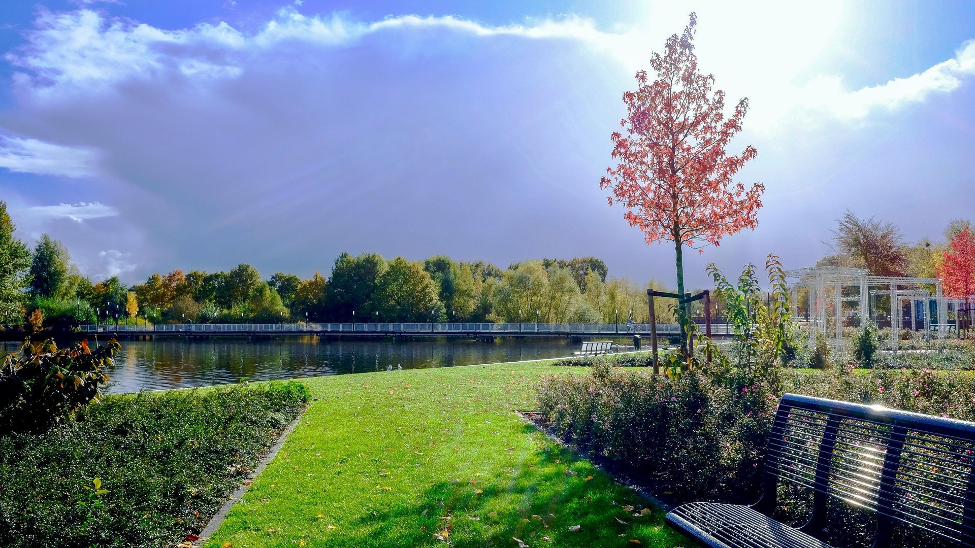 A park with a bench and a tree in the foreground