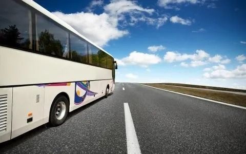 Una porta con le persiane si trova accanto a un vaso di fiori viola.