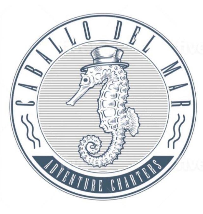 The logo for caballo del mar adventure charters shows a seahorse wearing a top hat.