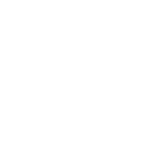 Domu home logo