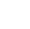 Domu home logo