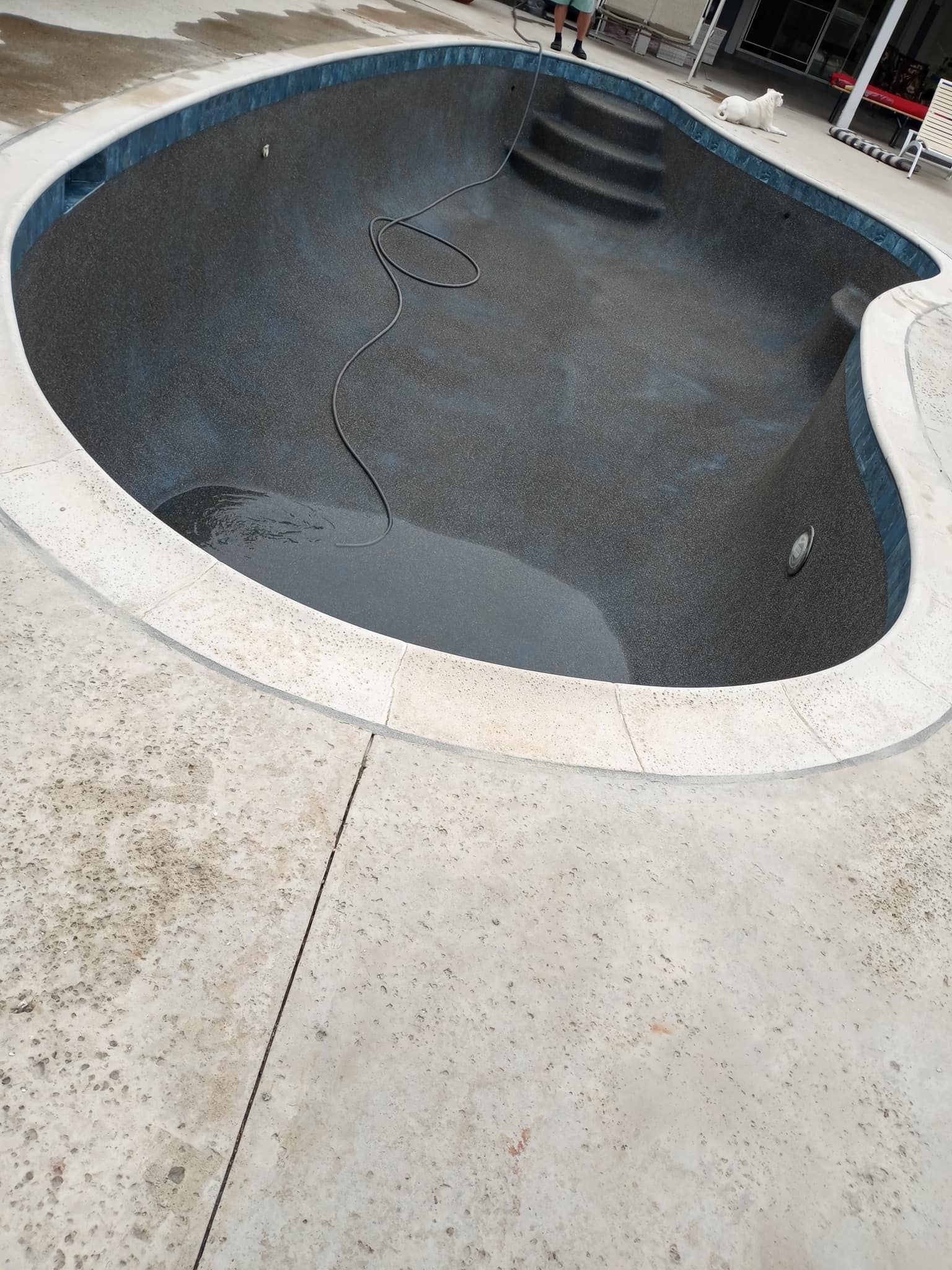 Empty swimming pool with a dark interior and steps, surrounded by a light-colored concrete deck.