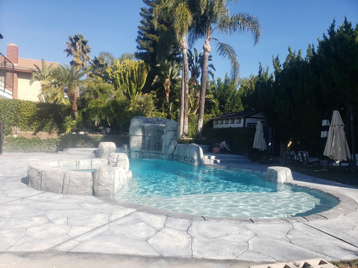 Swimming pool with waterfall feature, surrounded by stone patio, lush greenery, and palm trees.
